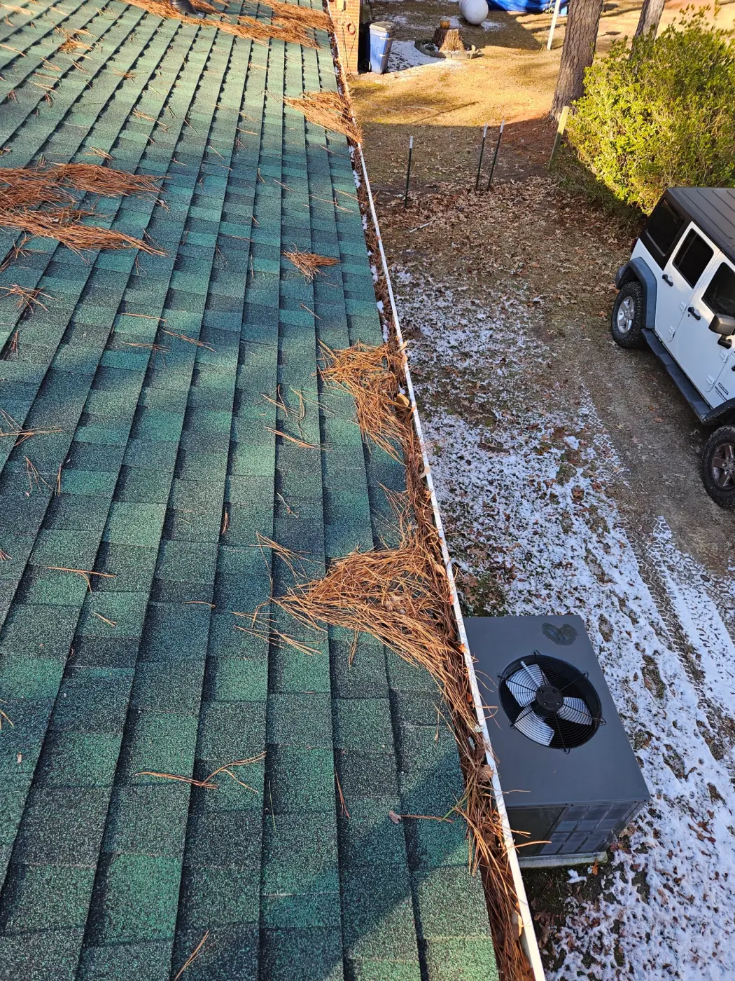 elite-home-services-nc-gutter-cleaning-pine-needles-debris.webp